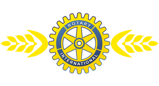 Ротари Клуб Кочани - Виница
